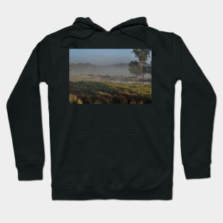 Early morning at the waterhole Hoodie